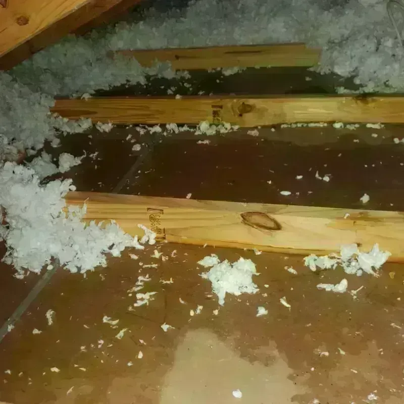 Attic Water Damage in Little Rock, MN