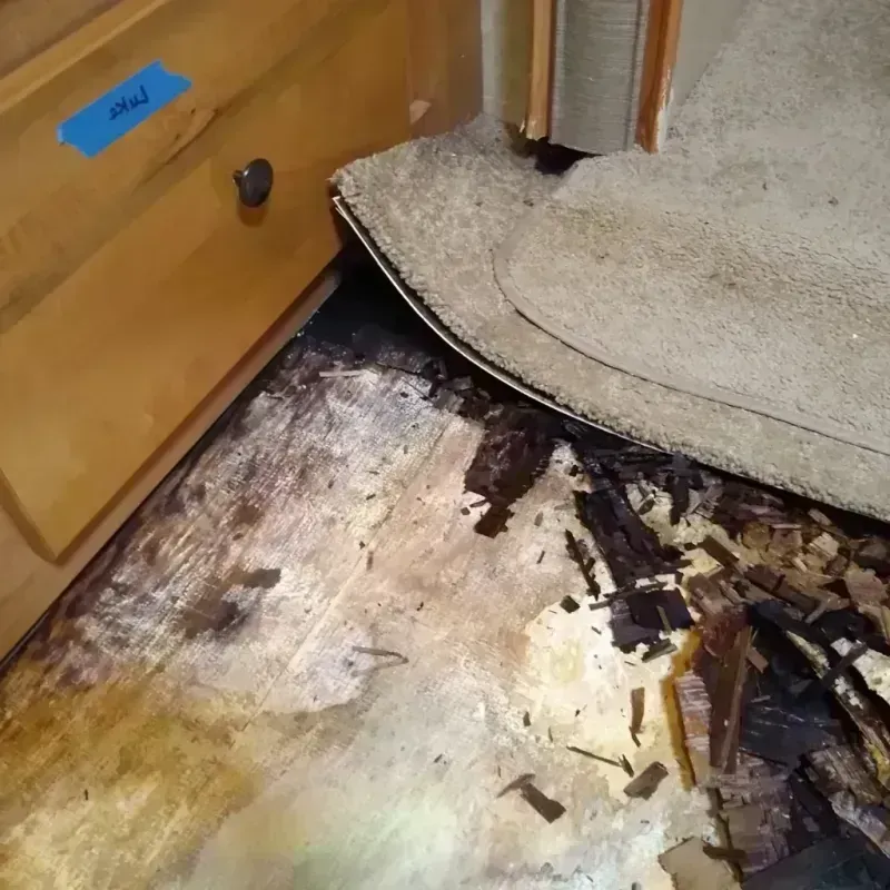 Best Wood Floor Water Damage Service in Little Rock, MN